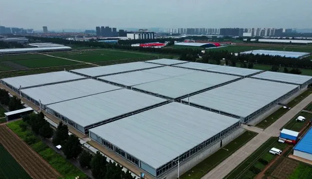 在品种选择中智能灌溉系统如何适应不同作物需求